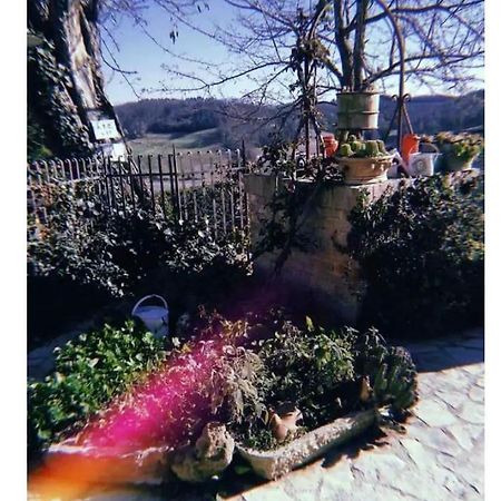 圣吉米纳诺La Casina Di Ancicucco 1公寓 外观 照片
