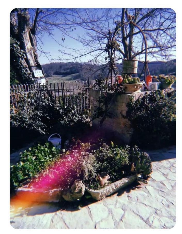 圣吉米纳诺La Casina Di Ancicucco 1公寓 外观 照片